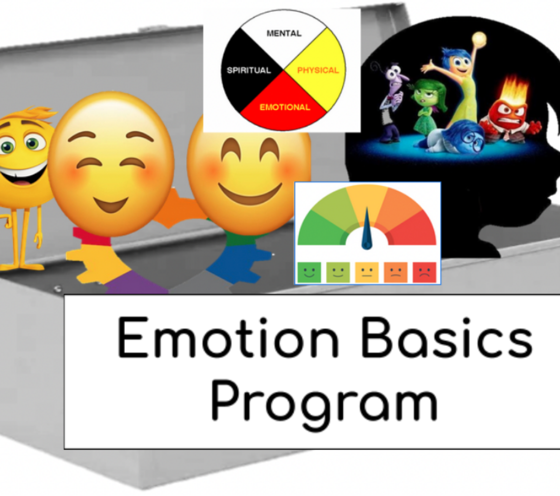 Summer Emotion Basics Group (Virtual)