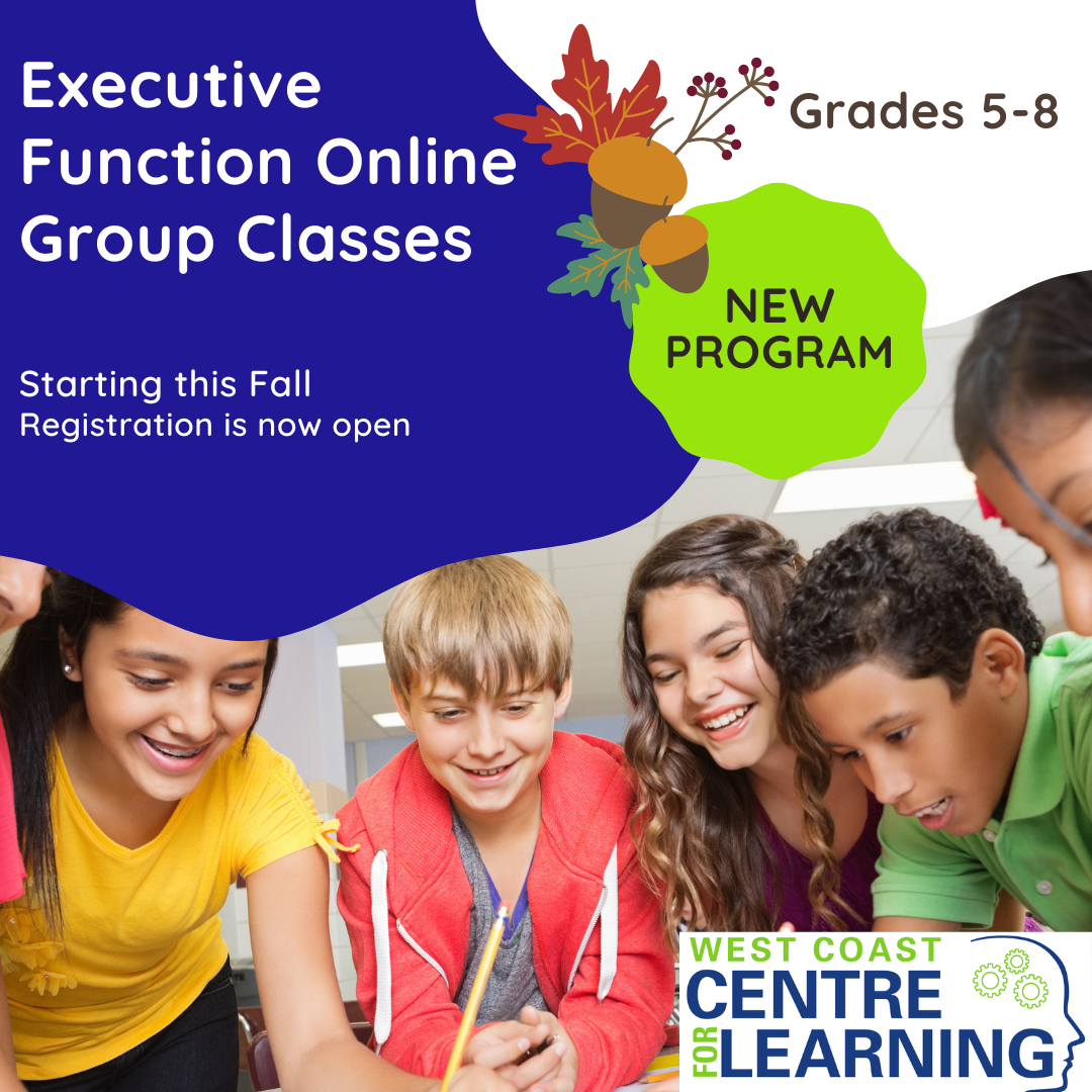 Executive Function Skills Group Classes - Online