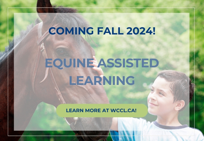 Equine Facilitated Wellness